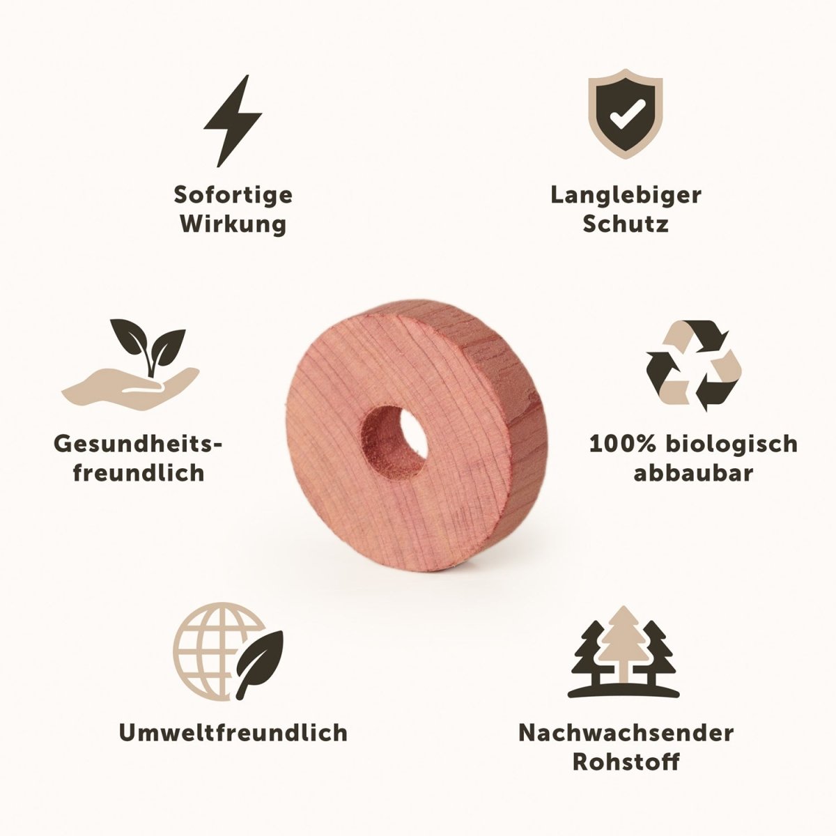 KLEIDERBÜGEL Benjamin - aus Holz mit Rockkerbe und Hosensteg -