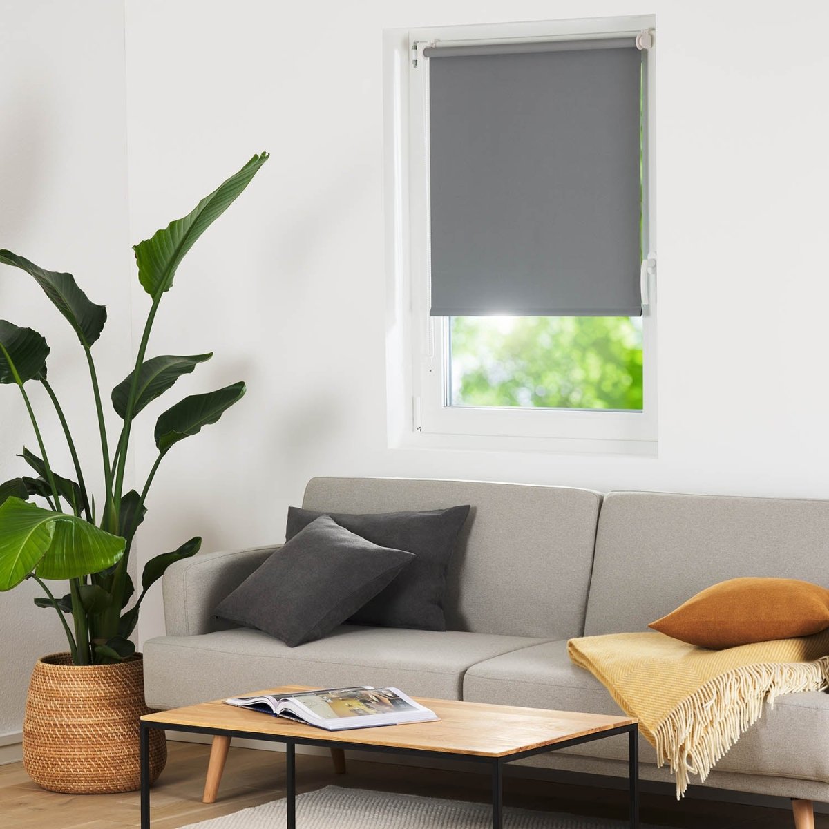VERDUNKLUNGSROLLO Oscar - Klemmfix Rollo ohne Bohren -