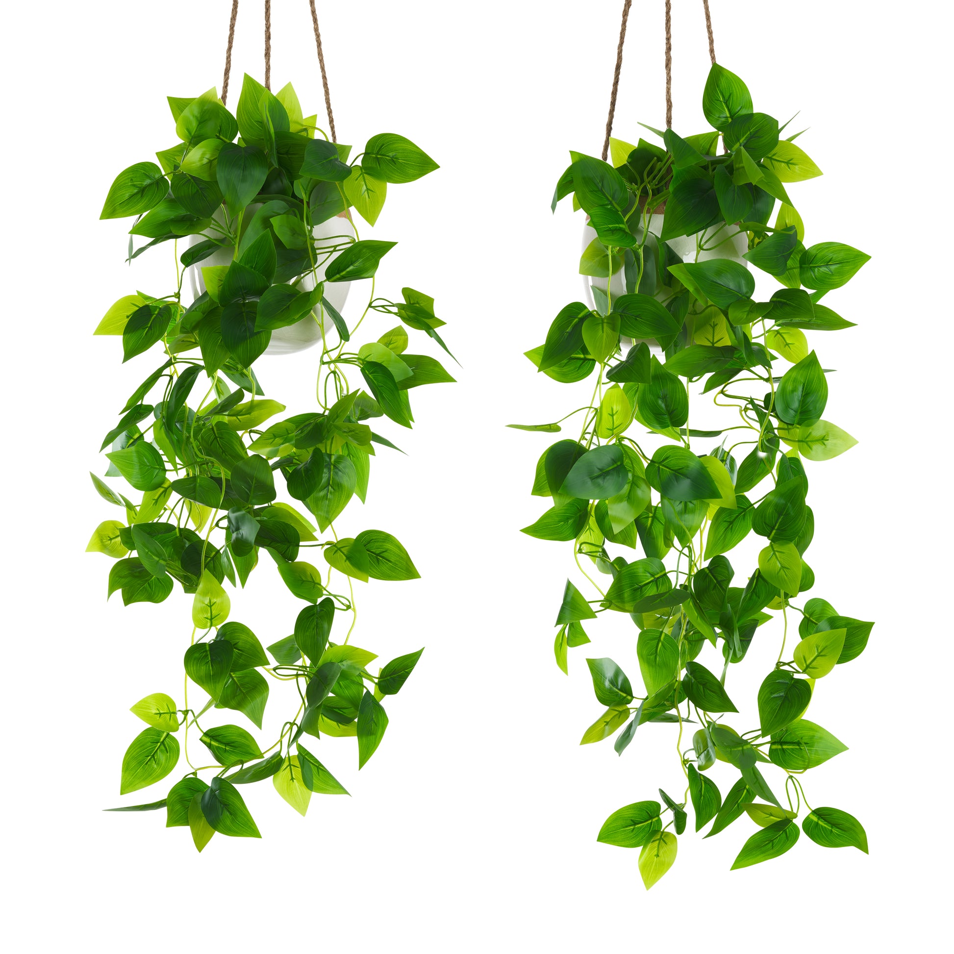 Zwei hängende grüne Kunstpflanzen in Töpfen vor weißem Hintergrund.