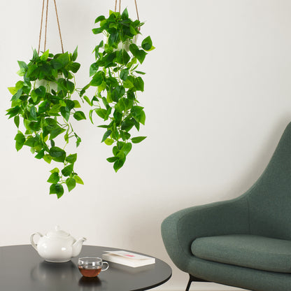  Zwei hängende grüne Pflanzen über einem Tisch mit Teekanne und Tasse neben einem grünen Sessel in einem Innenraum.