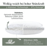FEDERKISSEN LILLABO mit 3 - Kammer - Füllung + Bezug 100% Baumwolle - 