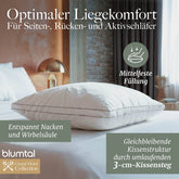 FEDERKISSEN LILLABO mit 3 - Kammer - Füllung + Bezug 100% Baumwolle - 