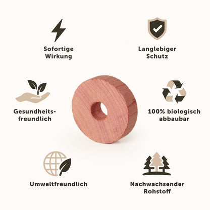 KLEIDERBÜGEL Benjamin - aus Holz mit Rockkerbe und Hosensteg - 