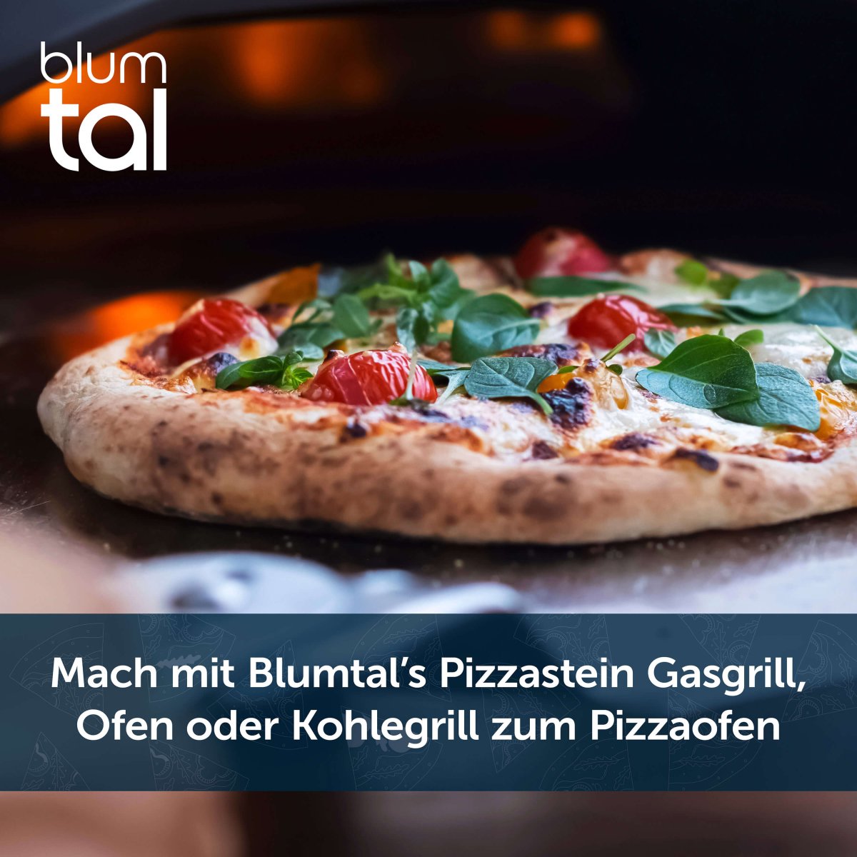 PIZZASTEIN aus Cordierit - Stein - 38x30 bis 900 C° - 