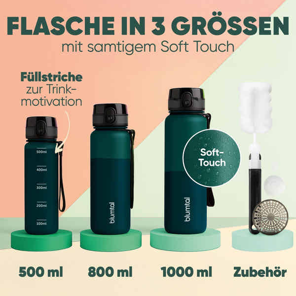 Tritan Trinkflasche Frozen II Elements – 580 Ml, Auslaufsicher, BPA-frei, Praktischer Drehverschluss, Offizielles Lizenzprodukt BPA-frei Tritan