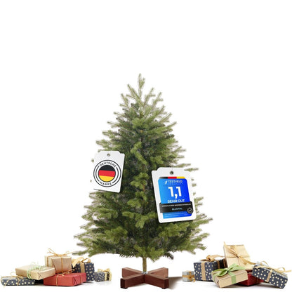 WEIHNACHTBAUM - Premium naturgetreues PE und PVC - 