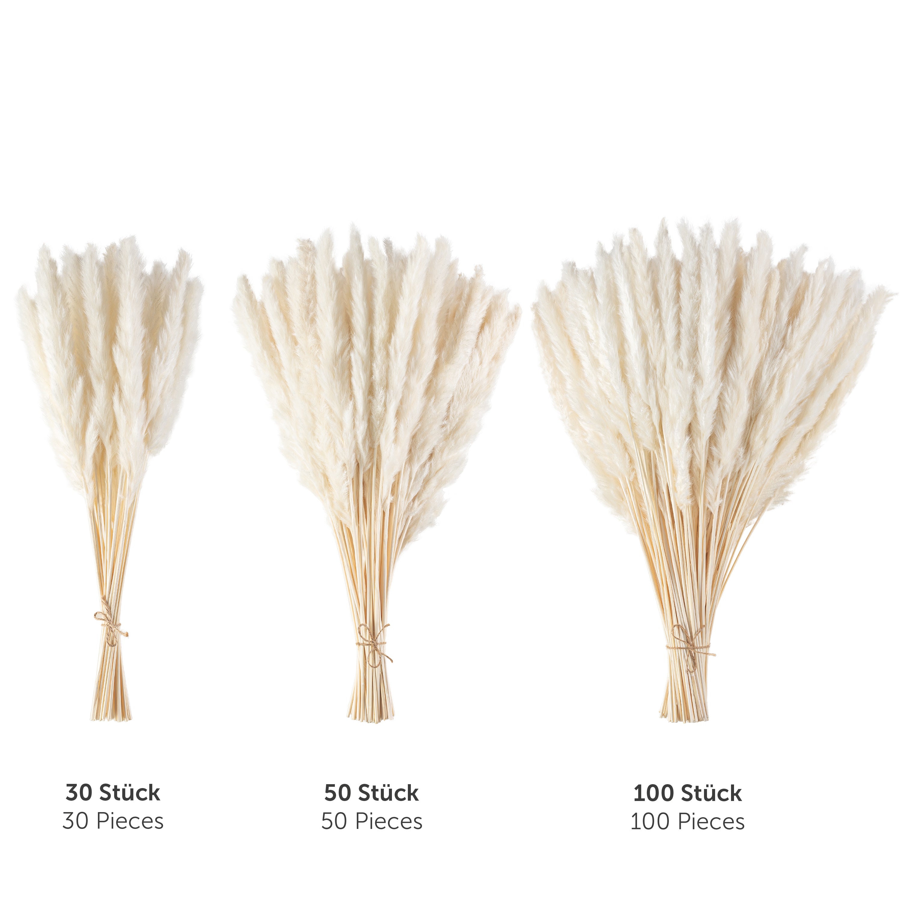 Drei verschiedene Mengen an Pampasgras-Bündeln beschriftet mit &